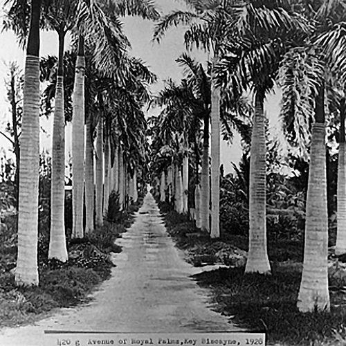 Key Biscayne Historical & Heritage Society - Key Biscayne Community  Foundation