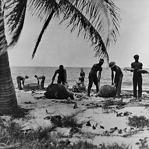 Key Biscayne Historical and Heritage Society