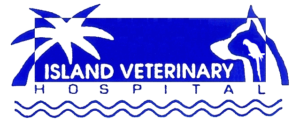 Island Veterinary Hospital