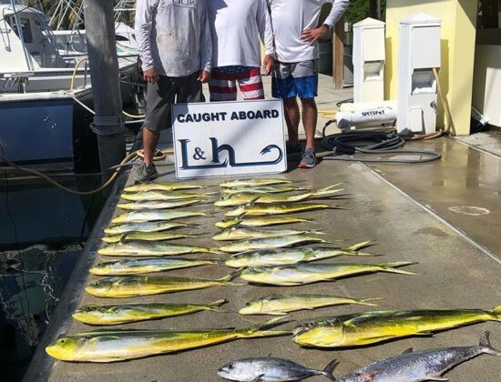 L & H SPORTFISHING